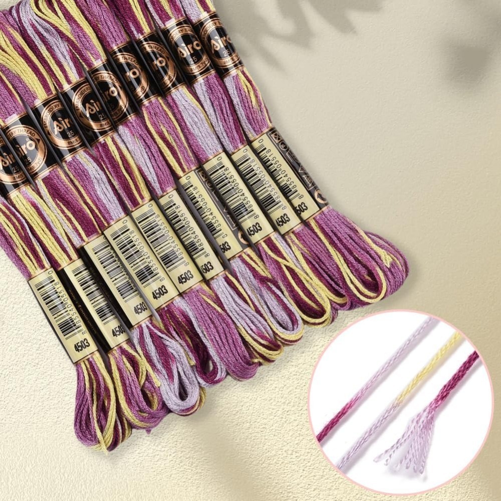6 Strands Purple Variegated Em - Embroidery Kit Set 评论和价格